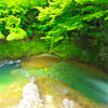 秋田県　協和町園