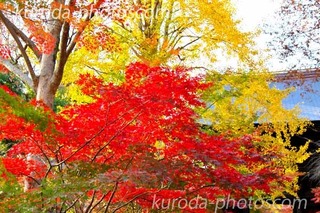 DSCF8263̃Rs[.jpg
