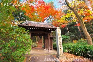 DSCF8583̃Rs[.jpg