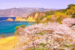 _MG_2068.jpg2̃Rs[.jpg