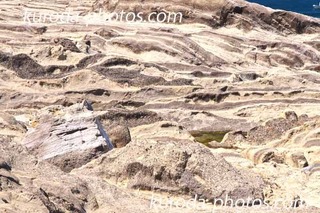 _MG_5536̃Rs[.jpg