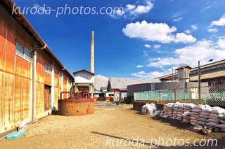 _MG_8933.jpg400̃Rs[.jpg