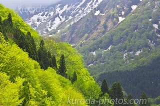 _U8A3994.jpg2.jpg