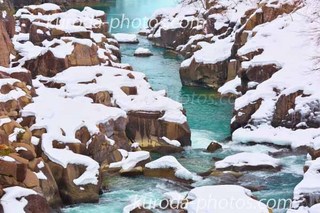 _U8A6107̃Rs[.jpg